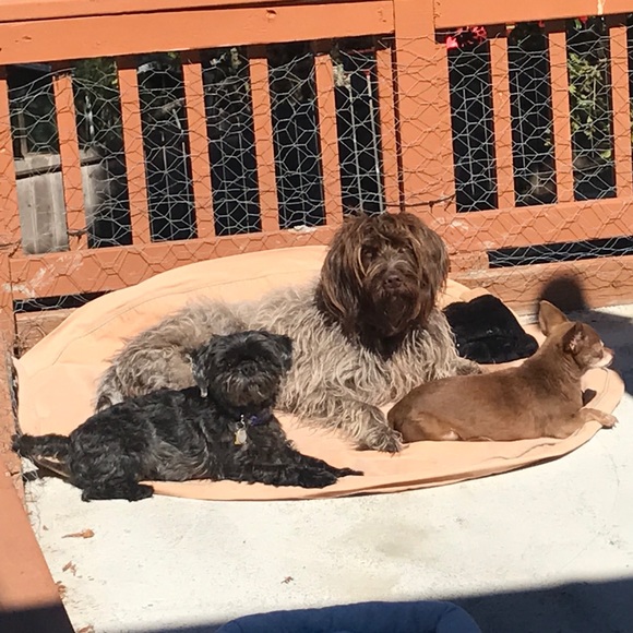 Meet your Posher - Picture 4 of 4